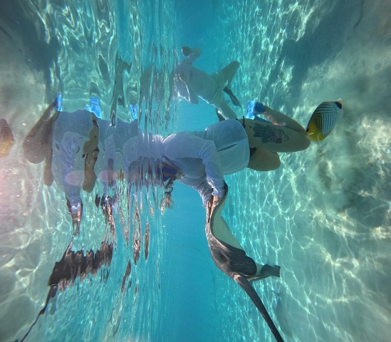 6E - Sue Ann Petting A Stingray