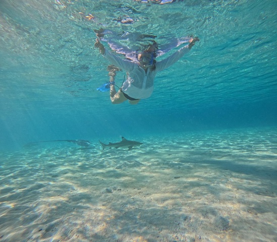 6a - Sue Ann With Shark