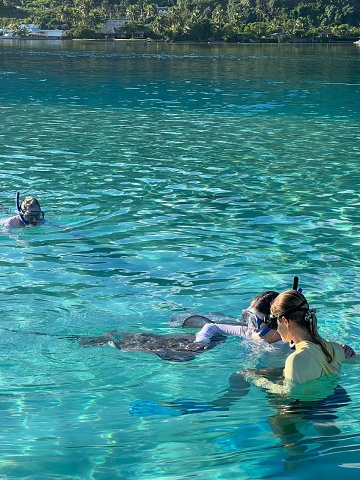 Stingrays On Moorea - Sue Ann Petting