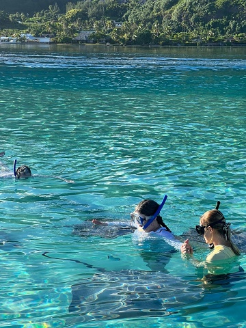 Stingrays On Moorea 3