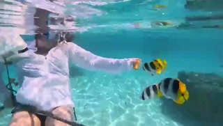 VID-20240327-WA0078.mp4