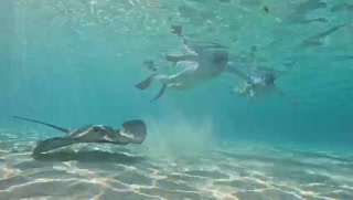 VID-20240327-WA0120B.mp4