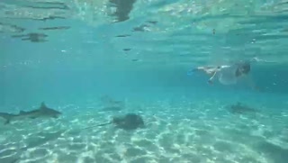 VID-20240327-WA0129.mp4